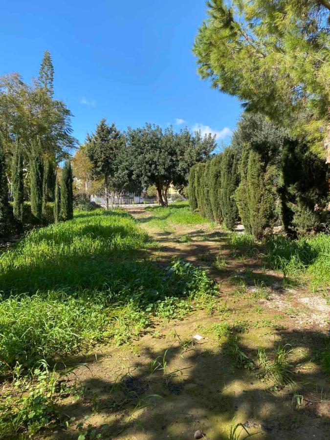 Limnaria Gardens K203 In Paphos Διαμέρισμα Εξωτερικό φωτογραφία